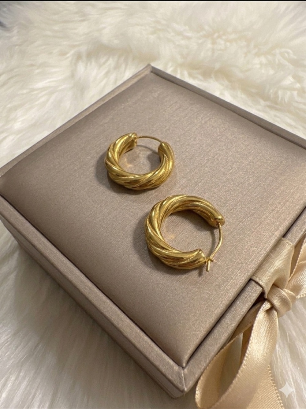 Stainless Steel Gold Classic Twisted Hoop Earrings